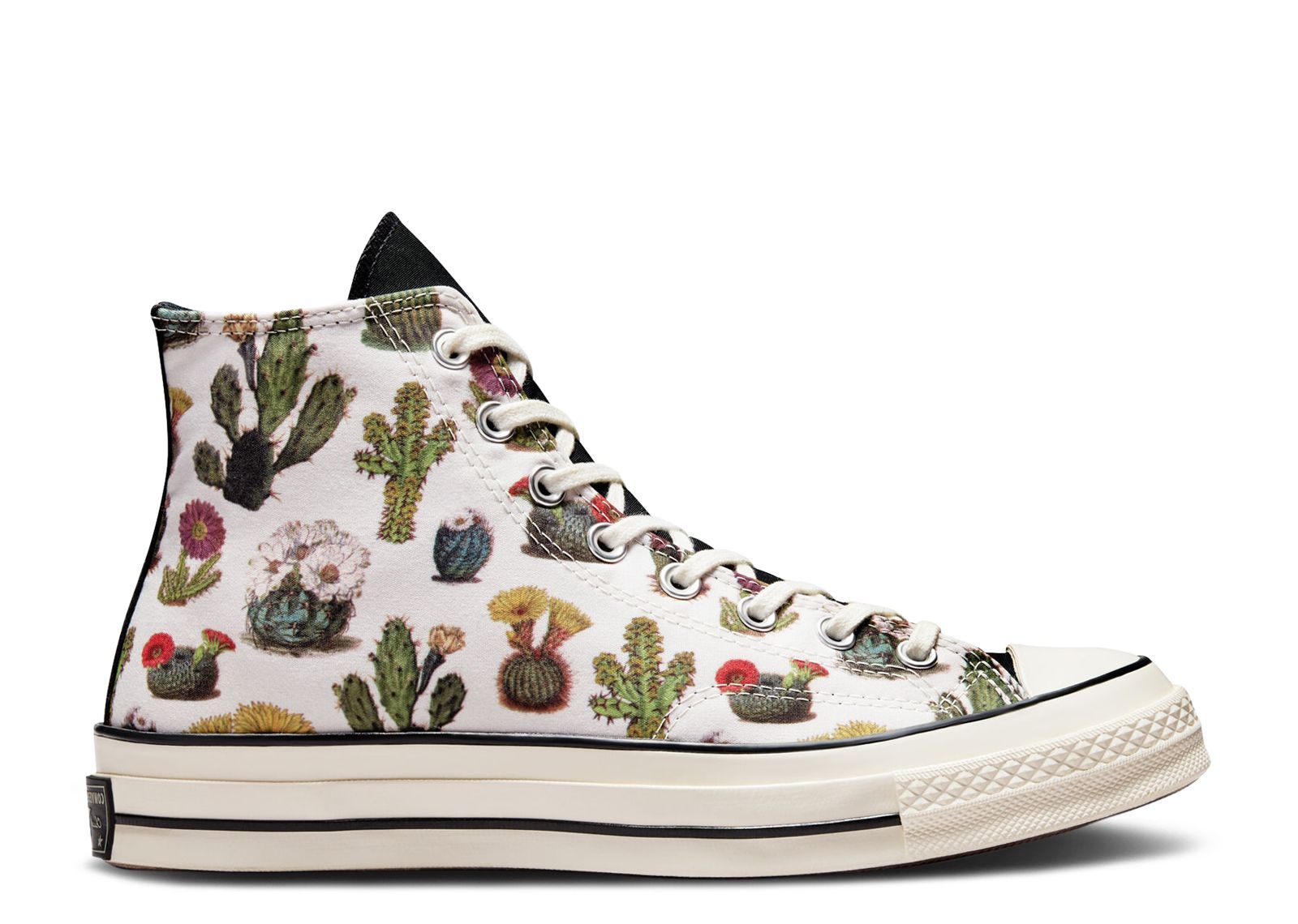 Chuck 70 High 'Succulents'